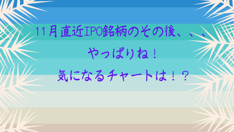 11月直近ipo銘柄のその後 やっぱりね 気になるチャートは スキマナビ